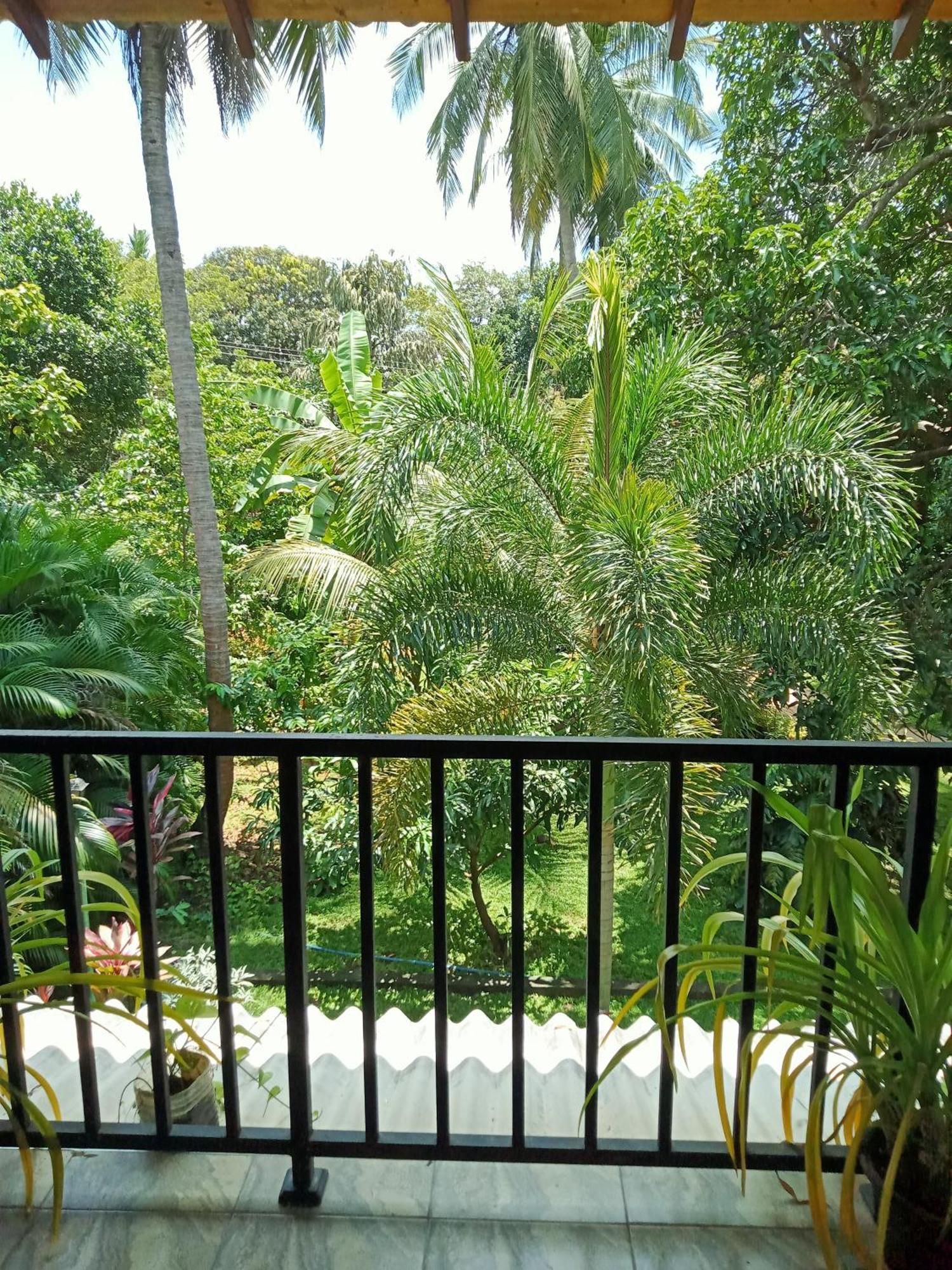 פולונרואה Kithmi Resort מראה חיצוני תמונה